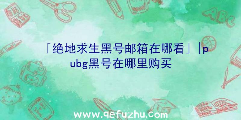 「绝地求生黑号邮箱在哪看」|pubg黑号在哪里购买